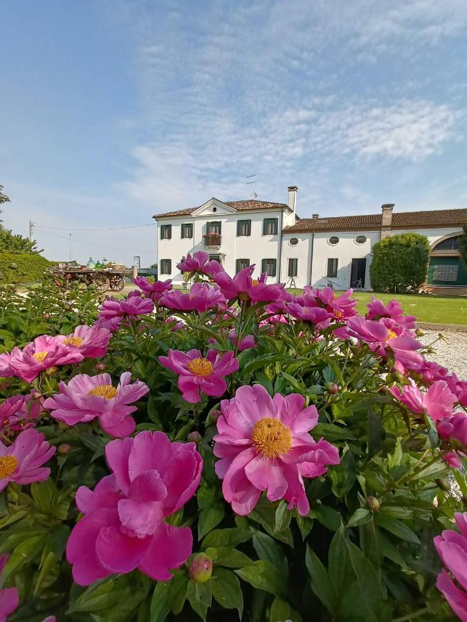 Agriturismo Villa Greggio Casalserugo ภายนอก รูปภาพ