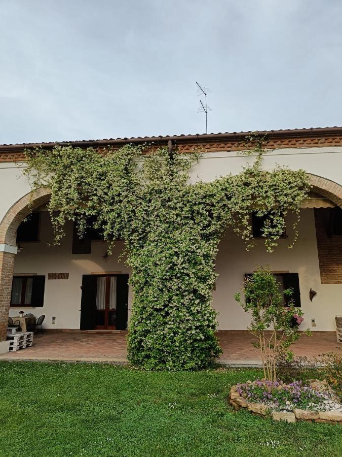 Agriturismo Villa Greggio Casalserugo ภายนอก รูปภาพ